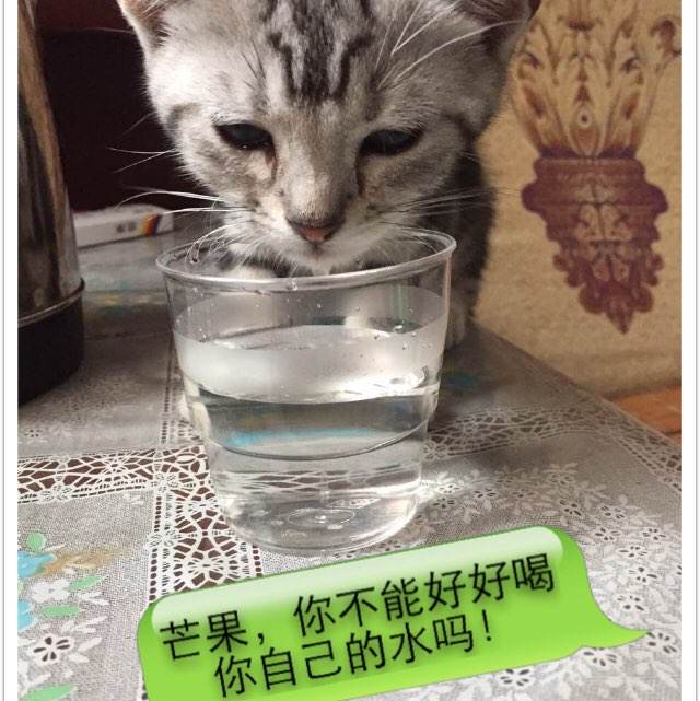 学位证书电子版怎么下载